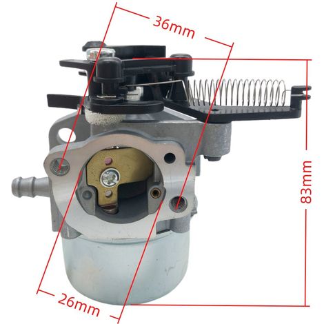 Carburateur Zhifeng 796608 für 111000 11P000 121000 12Q000 808-029 (1/5)