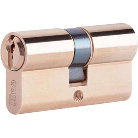CILINDRO SAGOMATO 8209 ISEO - OTTONE CHIAVI 3 CAMMA DIN MM 90 30+60 - 1 pezzo