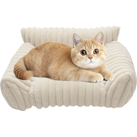 Canapé pour chat Canapé douillet pour animal de compagnie en peluche (1/5)