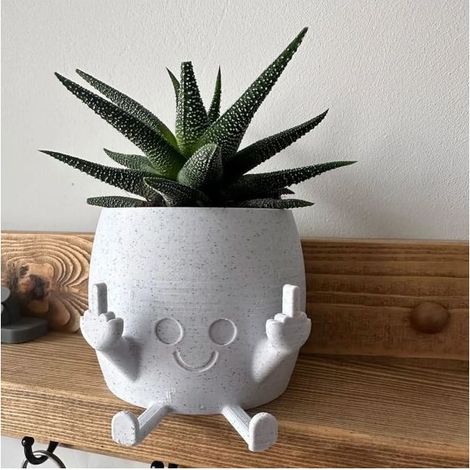 Online Store - Pot de fleurs à motif visage souriant - Joli pot de fleurs - Convient aux petites plantes, blanc. (1/5)