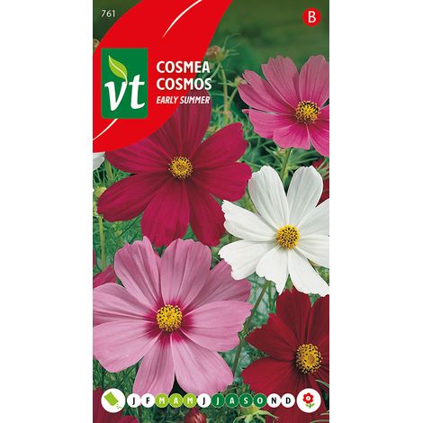 Cosmos Early Summer Varie - Ca. 1 gr (Livraison Gratuite) (1/2)