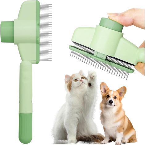 Peigne de toilettage pour chat – Dents métalliques arrondies pour un brossage en douceur (1/5)