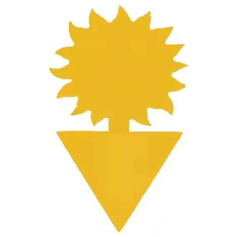Piège à mouches/Piège à mouches/20 tournesols (1/4)
