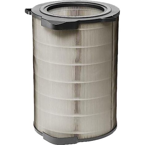 Electrolux EFDBTH6 Breathe360 Filtro antipolline adatto a PA91-604GY e PA91-604DG in grado di catturare e neutralizzare le particelle di polline disperse nell'aria (1/5)