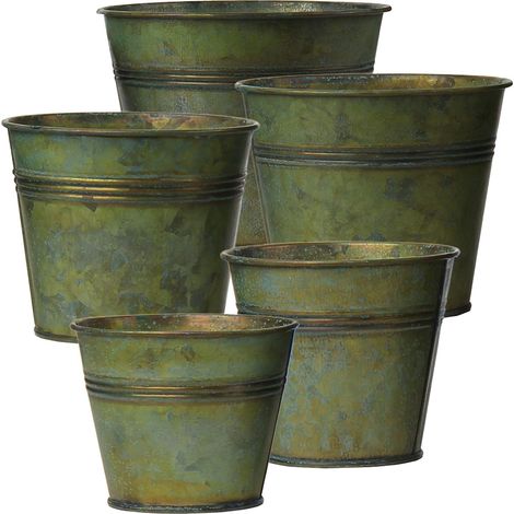 Lot de 5 pots de fleurs vintage en acier galvanisé - Parfaits pour la décoration moderne et rustique et la décoration de plantes - Pour l'intérieur et l'extérieur (1/5)