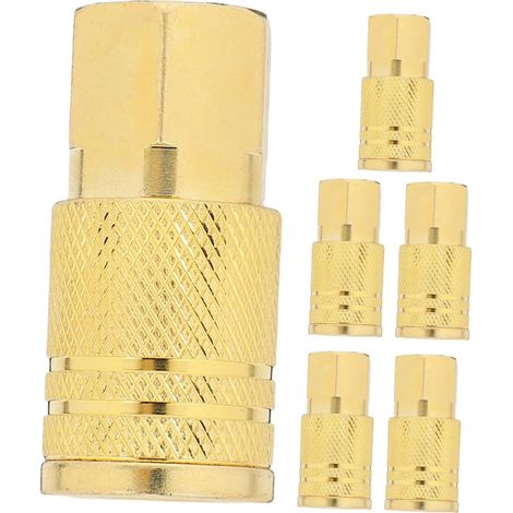 Raccord rapide femelle NPT pour compresseur haute performance (1/5)