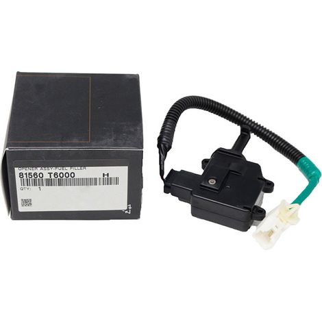 81560T6000 pour Hyundai GV80 2020 - Ensemble d'ouverture - Remplissage DR81560-T6000