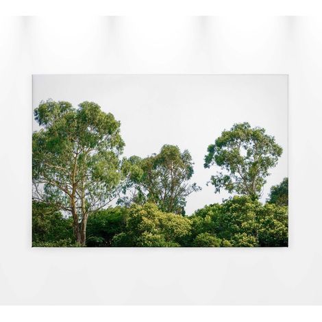 Tableau arbre vert & marron | Tableau sur toile nature idéal couloir entrée & salon | Tableau paysage deco salon décor forêt 0,9 x 0,6 m (1/5)