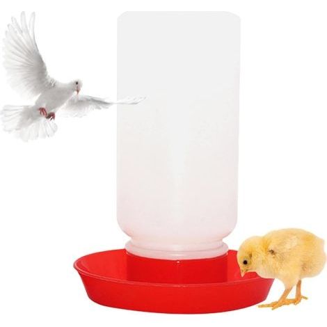 Abreuvoir pour Poulet Mangeoire pour Volaille Distributeur De Nourriture pour Poussin Abreuvoir Outils pour Poule Canard Mangeoire pour Volaille De Caille Abreuvoirs pour Poulet Distri (1/5)