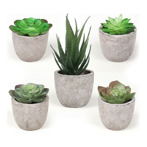 BUNTHAUS Simulation pâte succulente bonsaï 5 pièces ensemble décoration de la maison simulation plante succulente bonsaï ensemble (1/5)