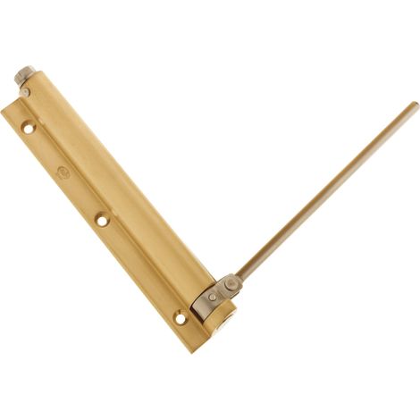 AMIG  Paumelle ressort  200 BI  190 x 180 mm  Laiton  Mat (1/5)