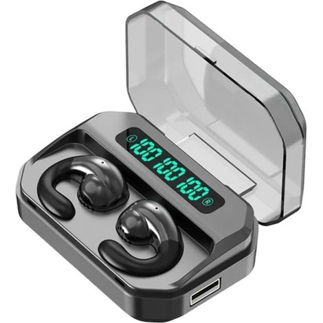 Talkie-walkie numérique double oreille pour le commerce électronique en mode privé avec fonction d'alimentation mobile et écouteurs Bluetooth 5.0 (1/5)