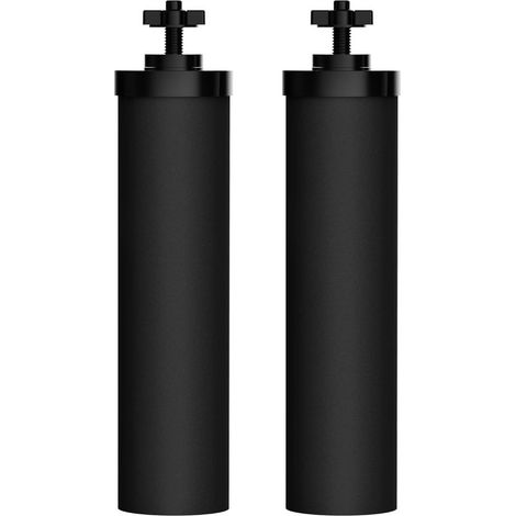 Elementi di ricambio BB9-2 per purificatori d'aria BB9-2 Black, Doulton Super Sterasyl e Propur Traveller, Nomad, King, Big Series (confezione da 2) (1/5)