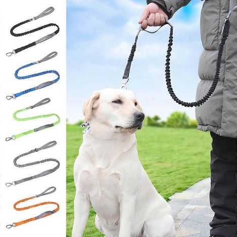 Laisse pour grands chiens, harnais pour chiens, laisse réfléchissante pour les promenades nocturnes (1/4)