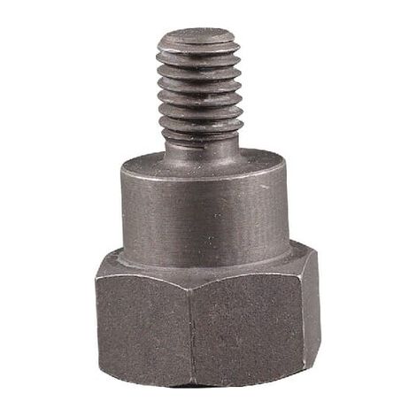 Adaptador M10x1,50 RIE McCulloch TECOMEC FGP015296