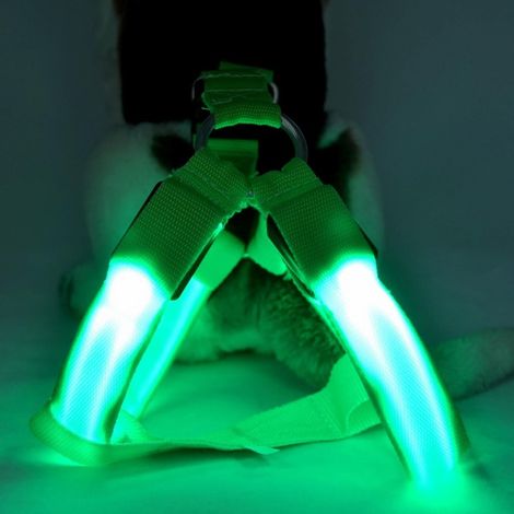 Harnais Lumineux Pour Chien - LED Rechargeable - Rembourré Souple Ajustable Réfléchissant - Pour Marche Nocturne Camping - Taille Unique (1/5)