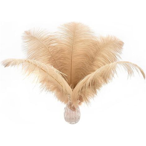 24 pièces de plumes autruche blanches naturelles de 25 à 30 cm (10 à 12 pouces) pour les centres de table de mariage, la composition florale et la décoration de la maison.