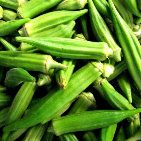 Gombo 350 pcs – Semences Légume Annuel – Jardin (1/5)