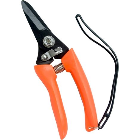 Sécateur à la pourriture des pieds, mouton, sabot de chèvre, ciseaux multi-usage (1/4)