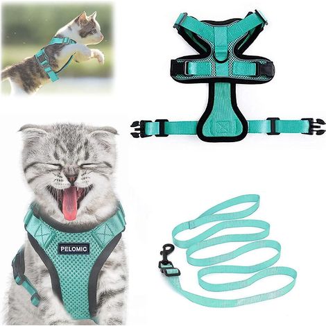 Ensemble écharpe et laisse réglables pour chats européens et persans, bleu - Gilet-col respirant inclus (1/5)