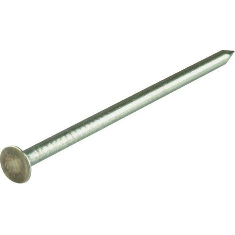 Kg de pointes Inox A2 Tête plate 2.7X50-1 pièce (1/2)