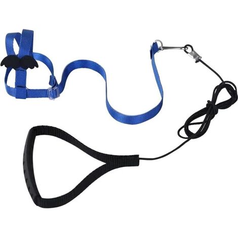 1pcs (Blue) Adjustable Parrot Harness Pet Leash Anti-bite Rope Elastic Strap Suitable for Birds Parakeets Peony Parrots Pacific Parrots MUMU