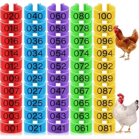 50 Bagues d'Identification pour Poules, Anneaux Clip-On pour Pattes de Poulet, Canard, Oie, 5 Couleurs, 16mm (1/5)