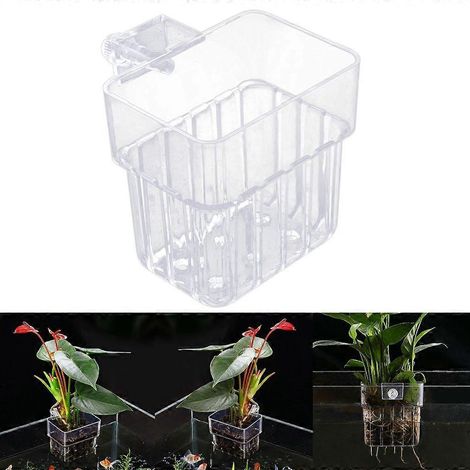 Support pour plantes aquatiques à rebord, décorations pour aquariums émergés (1/4)