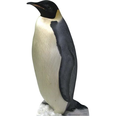 Figurine en carton Le pingouin H 86 CM