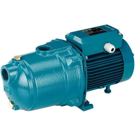 Calpeda pompa centrifuga multistadio MGPM 405 Monofase 1,5Hp silenziosa e robusta di ghisa per uso domestico giardino irrigazione