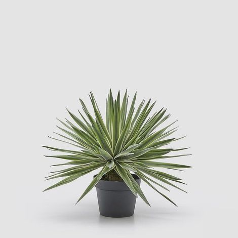 EDG Enzo De Gasperi Agave con Jarrón Planta Artificial Altura 45 Cm Verde (1/3)