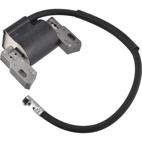 Cancanle Bobine d'allumage pour Briggs & Stratton 591420 398593 496914 793281 793295 (1/5)