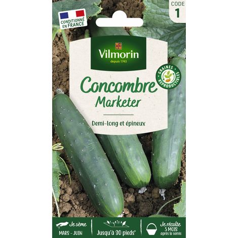 Vilmorin – Concombre Marketer – Graines de potager – Variété précoce, productive – Fruits demi-longs 25 cm, peau lisse vert foncé