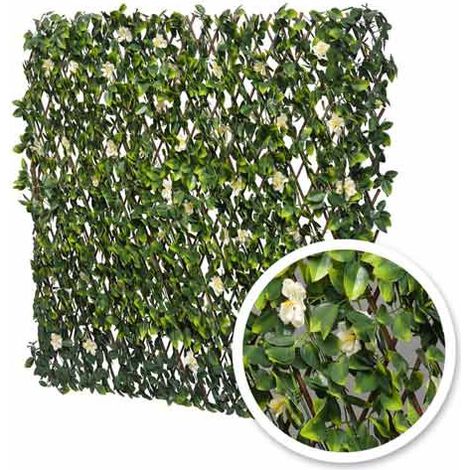 Treillis extensible feuilles de jasmin fleuri, Long 4 m, Hauteur 1 m