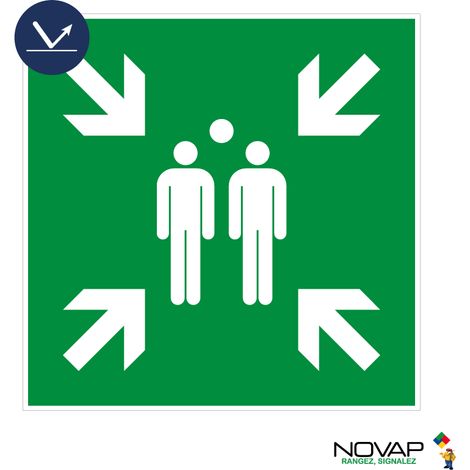 Panneau Point de rassemblement - Classe 1 480x480 mm - 4012001