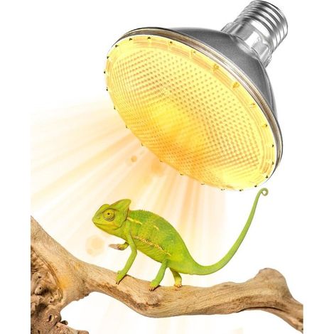 Lámpara de calor para reptiles de 75 W, UVB, UVA, tipo E27, regulable, PAR30, dragones barbudos, lagartos, pollitos y cachorros (1/5)