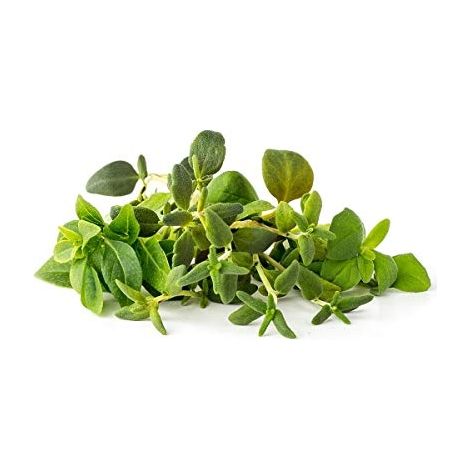 Smart Garden Mix Talianských bylín 3-pack