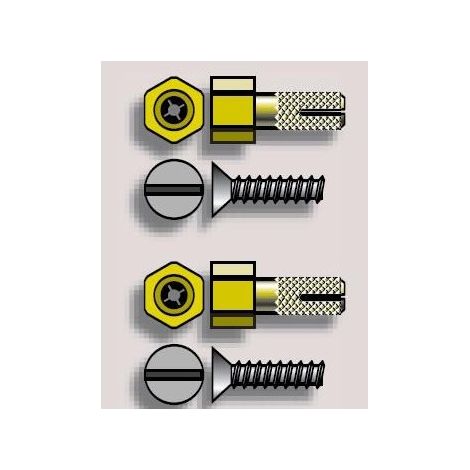 Pion fixation LT50CSI CVR somfy (1/2)