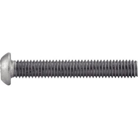 Tornillo ACTON de acero inoxidable con cabeza abombada A2 7380 - 4x20mm - caja de 100 - 628054X20 (1/4)