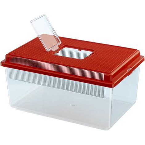 1 Conteneur plastique, transparent robuste, 35,5x23,5x16,5cm, bassin, 4L, poissons rongeurs