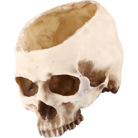 Pot de fleurs décoratif en résine avec motif tête de mort (1 pièce) (1/5)