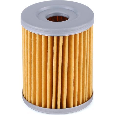 Fydun Filtre à huile Moto Filtre à huile pour DRZ125 DR200SE RV125 LTZ250 LTF250 Ozark AN250. (1/5)
