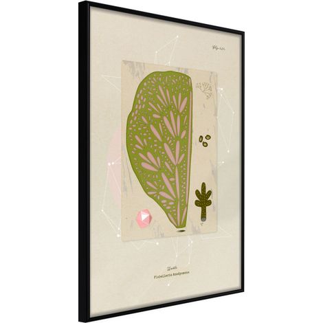 Affiche Murale Encadrée "Cross Section of a Leaf" 21 x 30 cm Noir