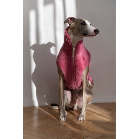 Chaleco de lana para perro - Rosa 1 (1/5)