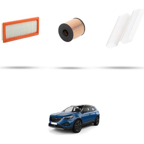 Kit tagliando 3 filtri compatibile con Opel Grandland X(A18) 1.6 Turbo 110kw Dal 2017 (1/5)