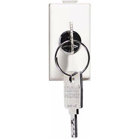 Bticino deviatore con chiave 2p 10a matix am5007d