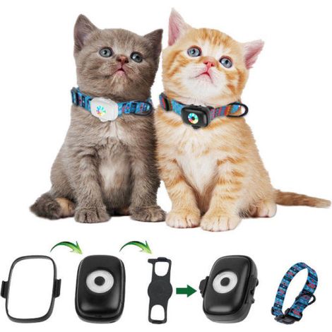 Collier GPS pour Chien et Chat, Localisateur Mini Tracker 4G avec Puce Intégrée, Dispositif de Suivi Santé et Localisation, Blanc, pour Dressage et Sécurité Animaux (1/5)