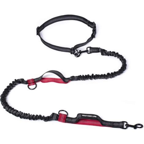 1 Laisse de course pour chien, ajustable, avec deux poignées rembourrées, élastique durable, réfléchissante, pour petits moyens grands chiens (1/5)