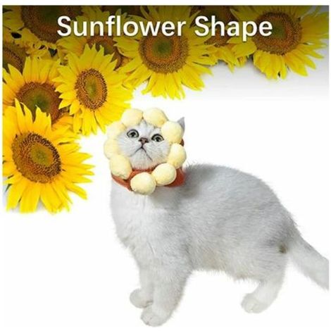 Couvre-chef pour animal de compagnie, couvre-chef pour animal de compagnie fleur de soleil avec autocollant magique, coiffe amusante pour animal de compagnie, chapeau de décoration en peluche do (1/4)