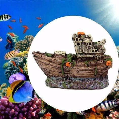 PLANTE DAQUARIUM - VIVARIUM - TERRARIUM - DECORATION VEGETALE - SUBSTRAT - RACINE - BOIS Paysage style-4 4 PLANTE D\'AQUARIUM (1/4)
